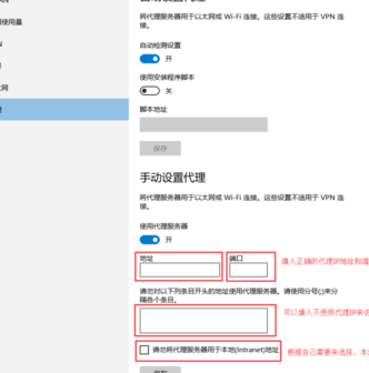 填入正确代理IP