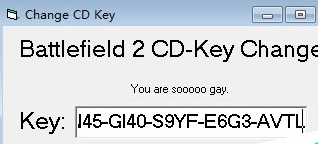 战地2cdkey